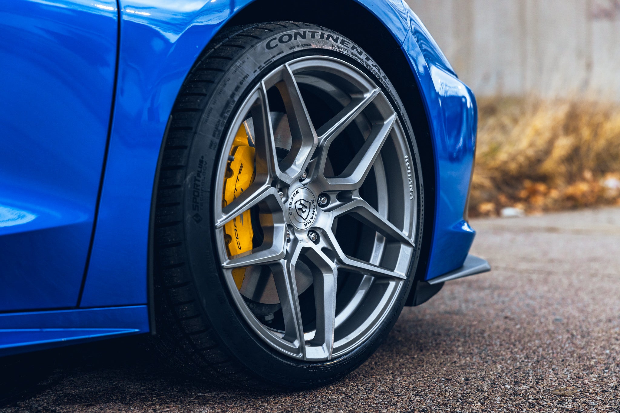 カナリア Costa 6A3018 Bimini Road 610 Eyeglasses | LensCrafters