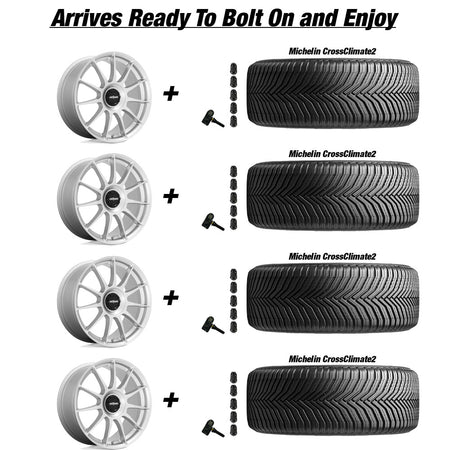 Tesla Model 3 Rotiform DTM Silver 18 wheel and Michelin CrossClimate2 tire package